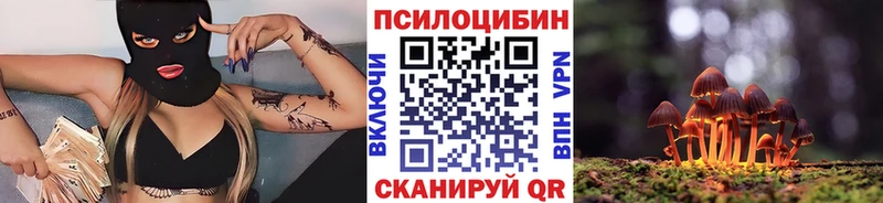 продажа наркотиков  Белозерск  Псилоцибиновые грибы мухоморы 